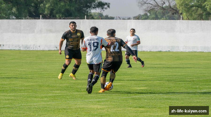 开云体育（官方网站）体育直播首页 - KAIYUNLIVE